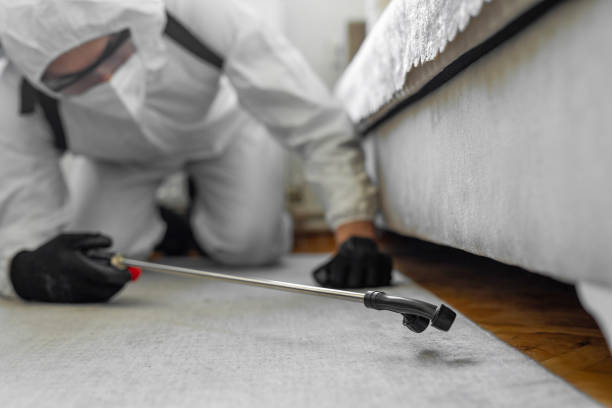Professional Bed Bug Control technician working in Sussex County County, VA
